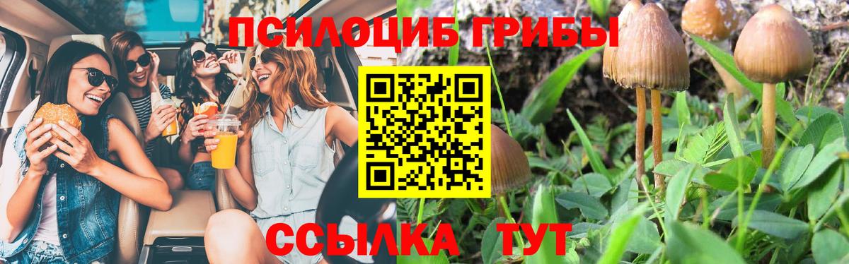 Псилоцибиновые грибы Psilocybine cubensis  Вход с VPN  Красный Сулин 